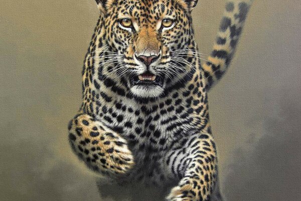 Graceful leopard in a jump for prey