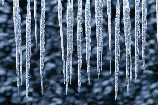 Desktop-Hintergrund Eiszapfen im Winter