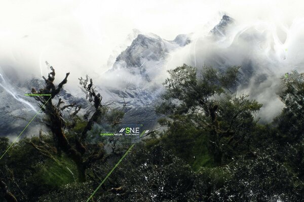 Trees on the background of snow-capped mountains