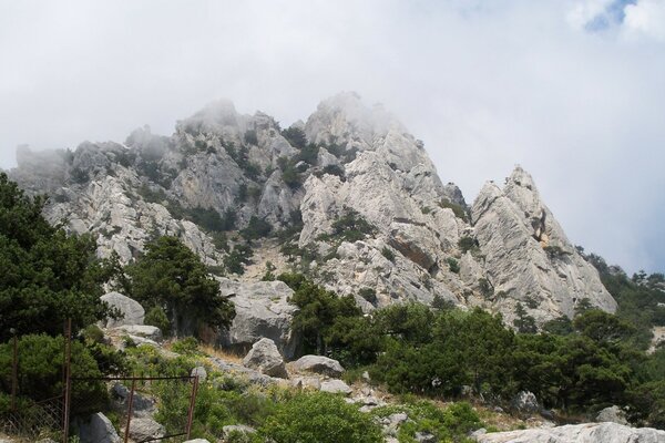 Grandes montañas en la niebla