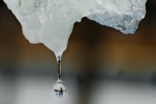 Ein Tropfen Wasser tropft aus einem Stück Eis