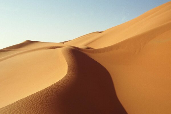 Dunes in the hot desert