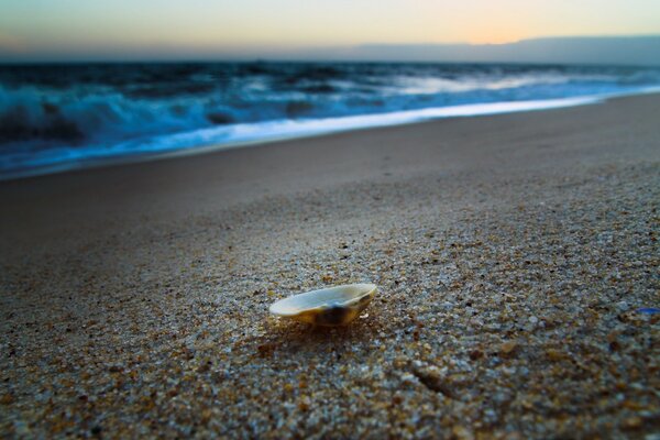Sandy ocean shore at sunset