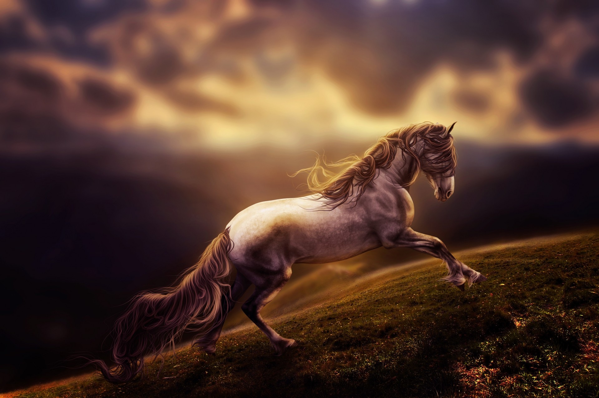 arte cavallo arte digitale rendering