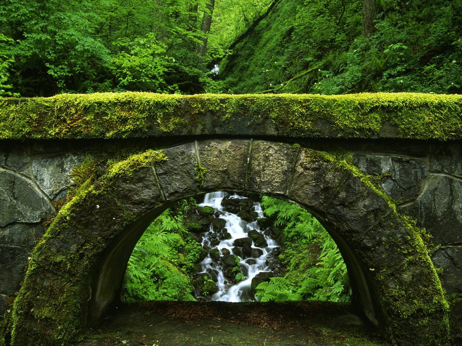 natura ponte verde boschetti