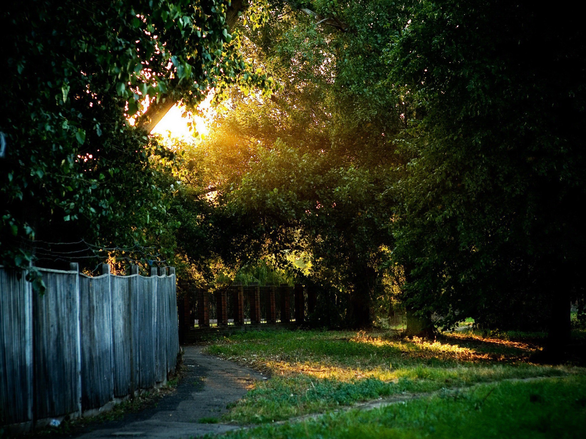 deverya herbe lumière soleil clôture