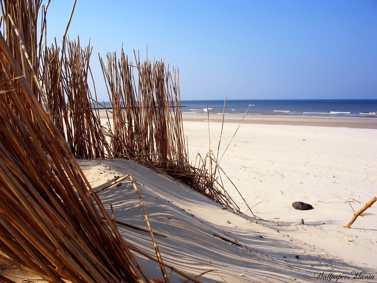 sabbia acqua spiaggia