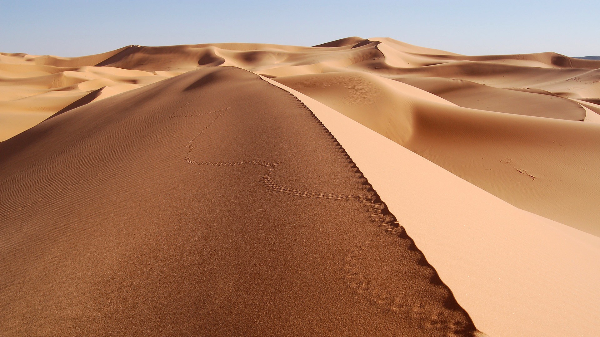 desert sand trace