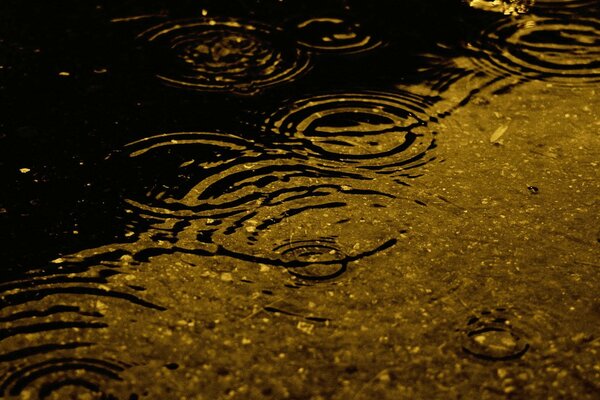 The circles from the rain are simply mesmerizing