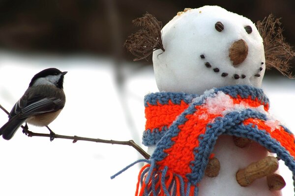 Meise zu Besuch bei einem Schneemann im Schal