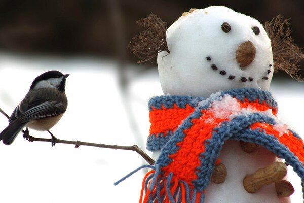 Tit visiting a snowman in a scarf