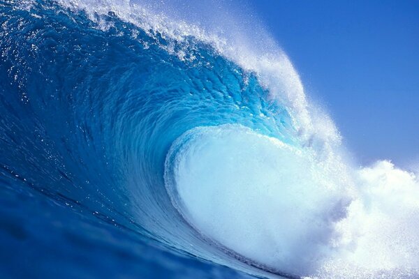 La grande vague pour la joie des surfeurs