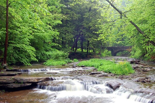 Бурная лесная речушка, на дальнем плане - старый каменный мост