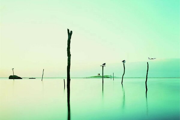 Water in the lake on the background of the green sky