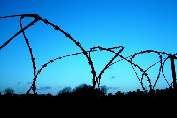 Barbed wire as a symbol of bondage