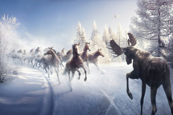 Сказочные лошади скачут по снежной дороге