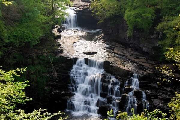 Cascada rodeada de rocas y bosques