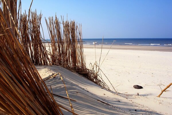 Biały piasek na plaży morskiej