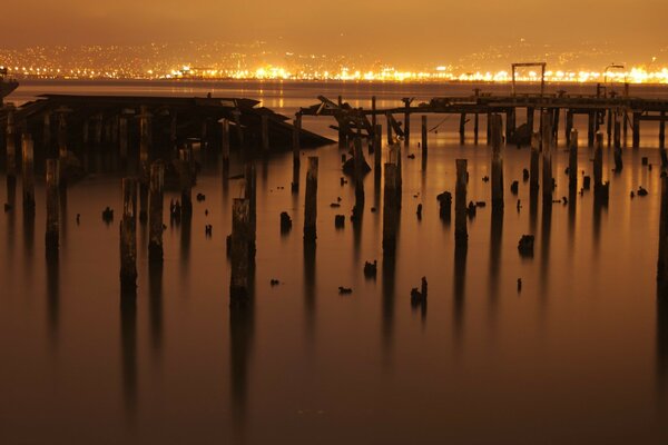 Night lights on the city lake