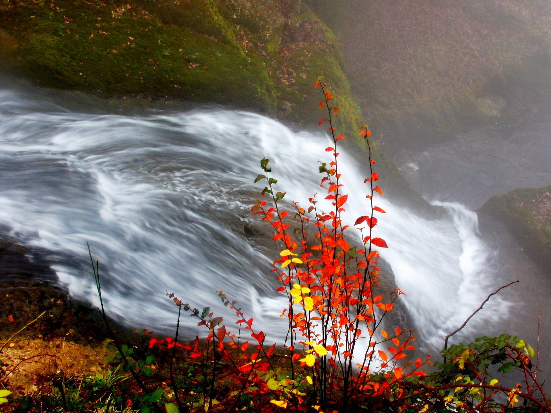 cascada río otoño hojas