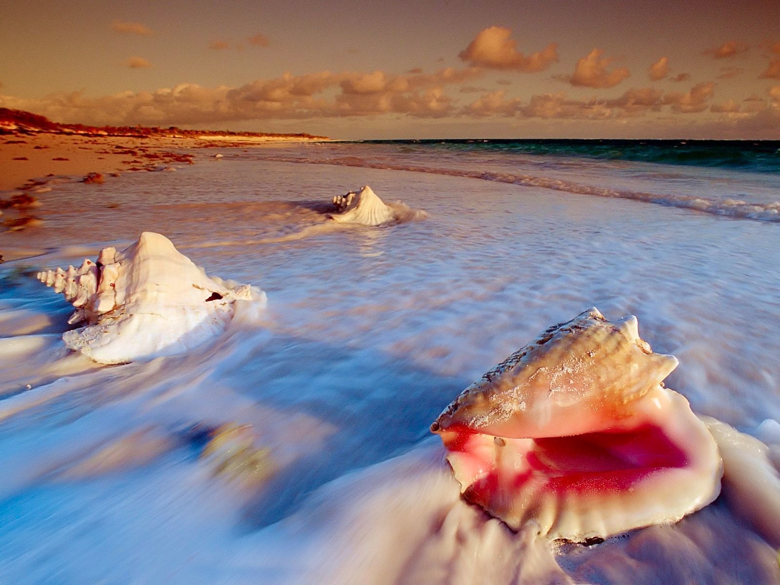 hell sea beach