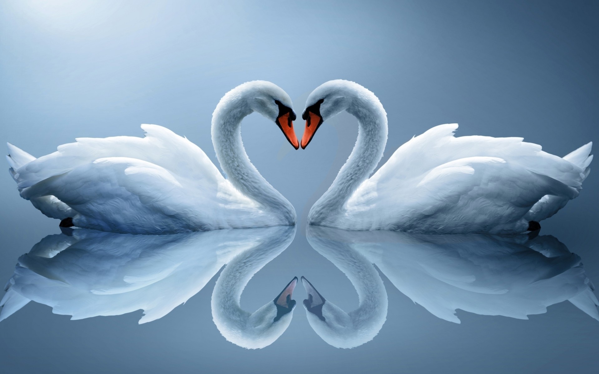 cuore riflessione coppia