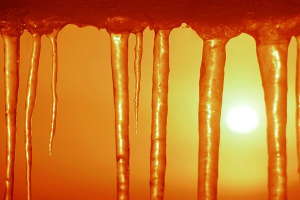 Icicles of ice in the yellow sun