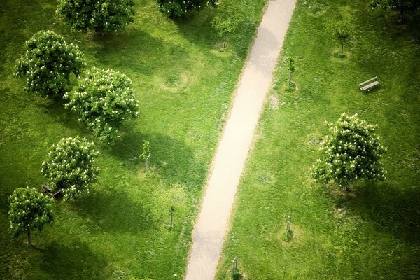 Top view of the country lane