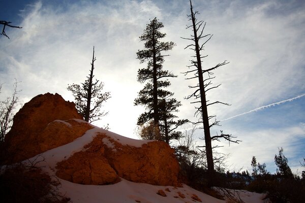 A big stone in the snow in the forest