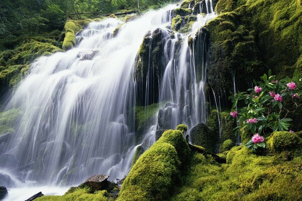 Image of a clear mountain waterfall