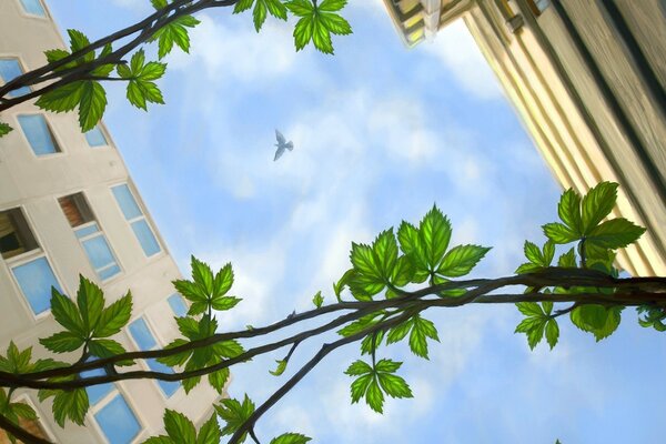 A bird in the sky is circling over the yard