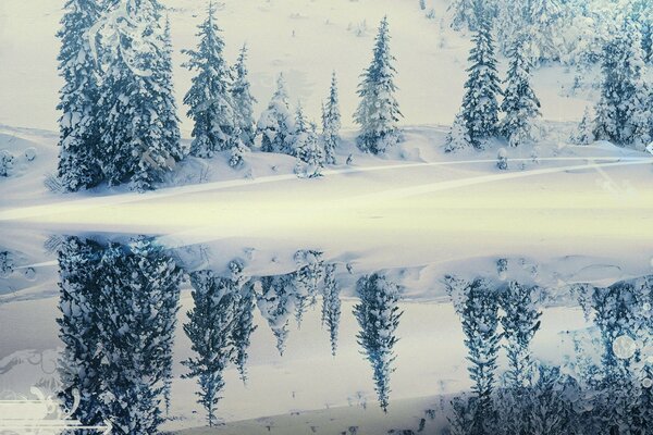 Reflexion der Winterbäume im Fluss