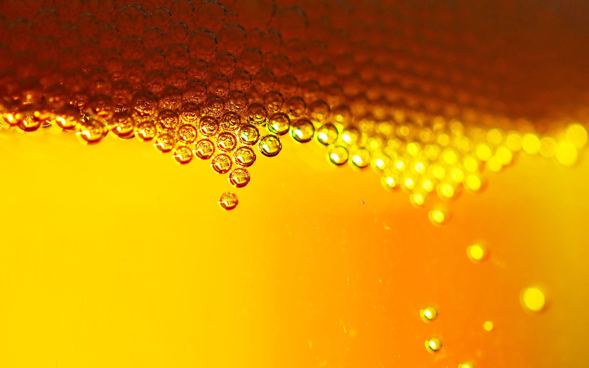 beer bubbles alcohol