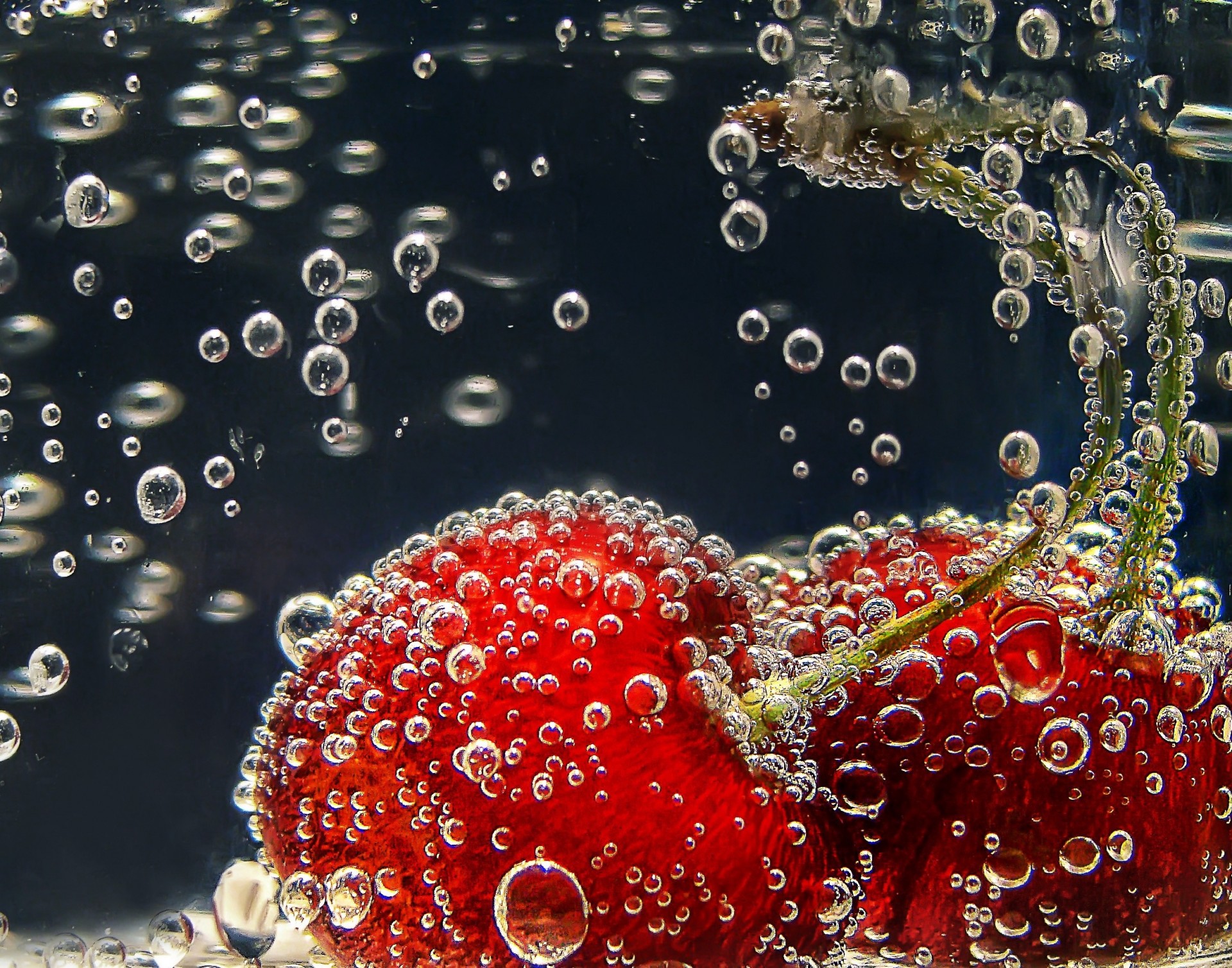 bulles liquide sakura