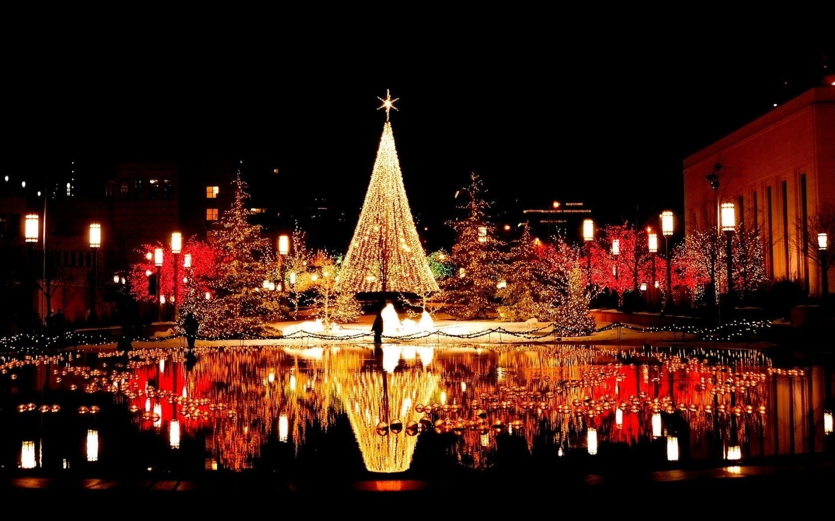 notte albero di natale riflessione piazza ghirlande luci città acqua