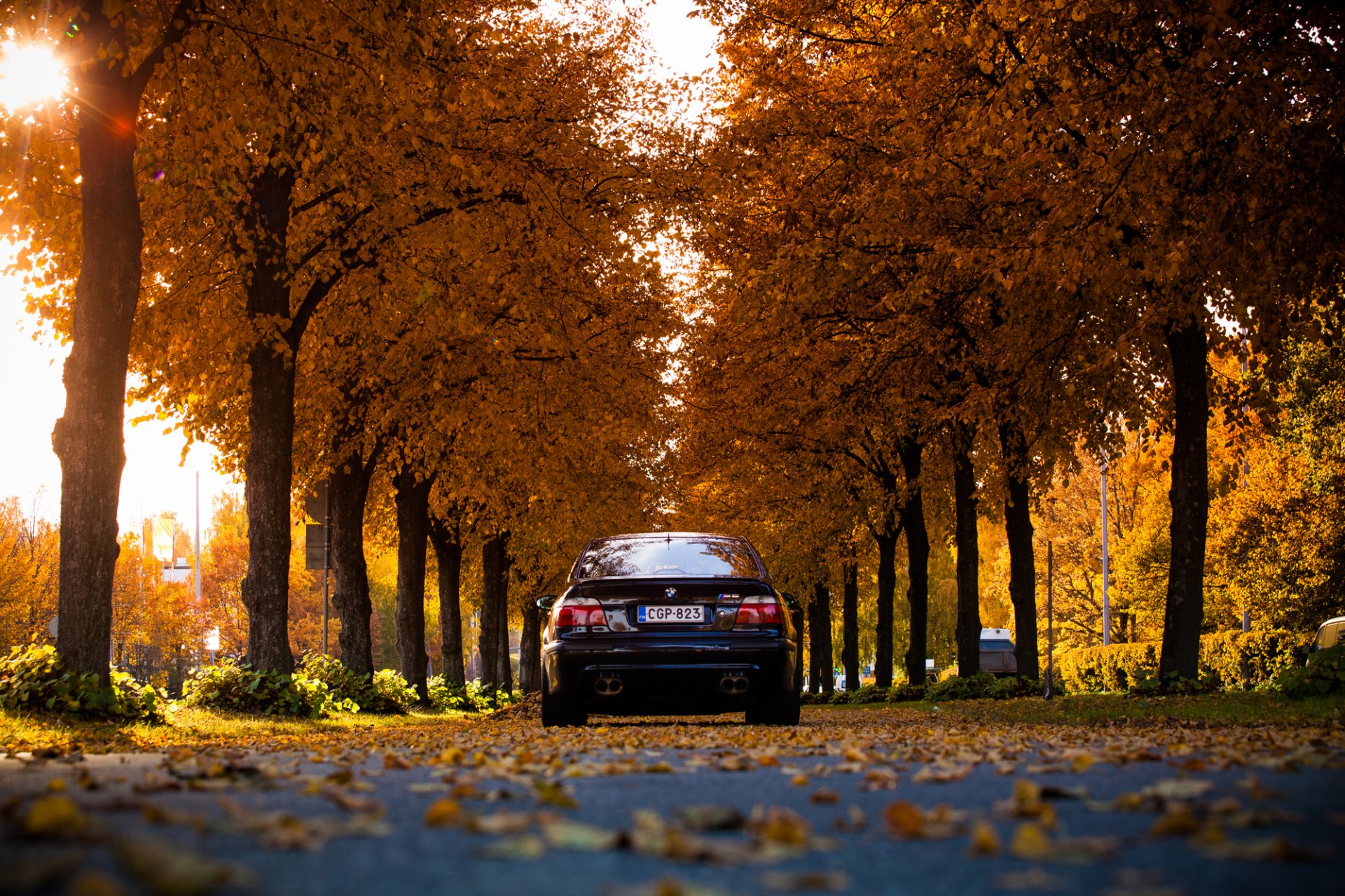 bmw e39 m5 schwarz bmw scheinwerfer blätter herbst