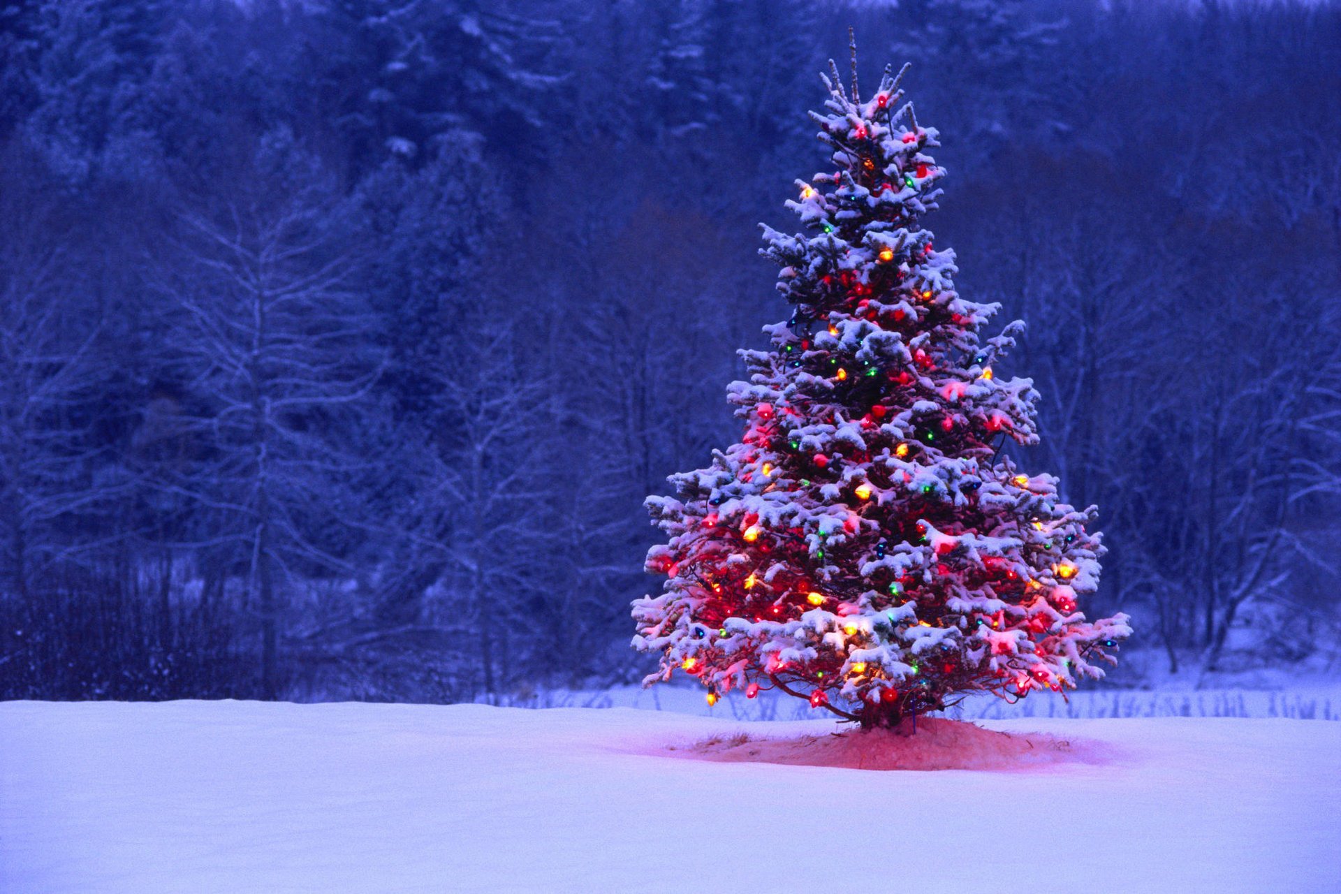 albero di natale luci retroilluminazione neve