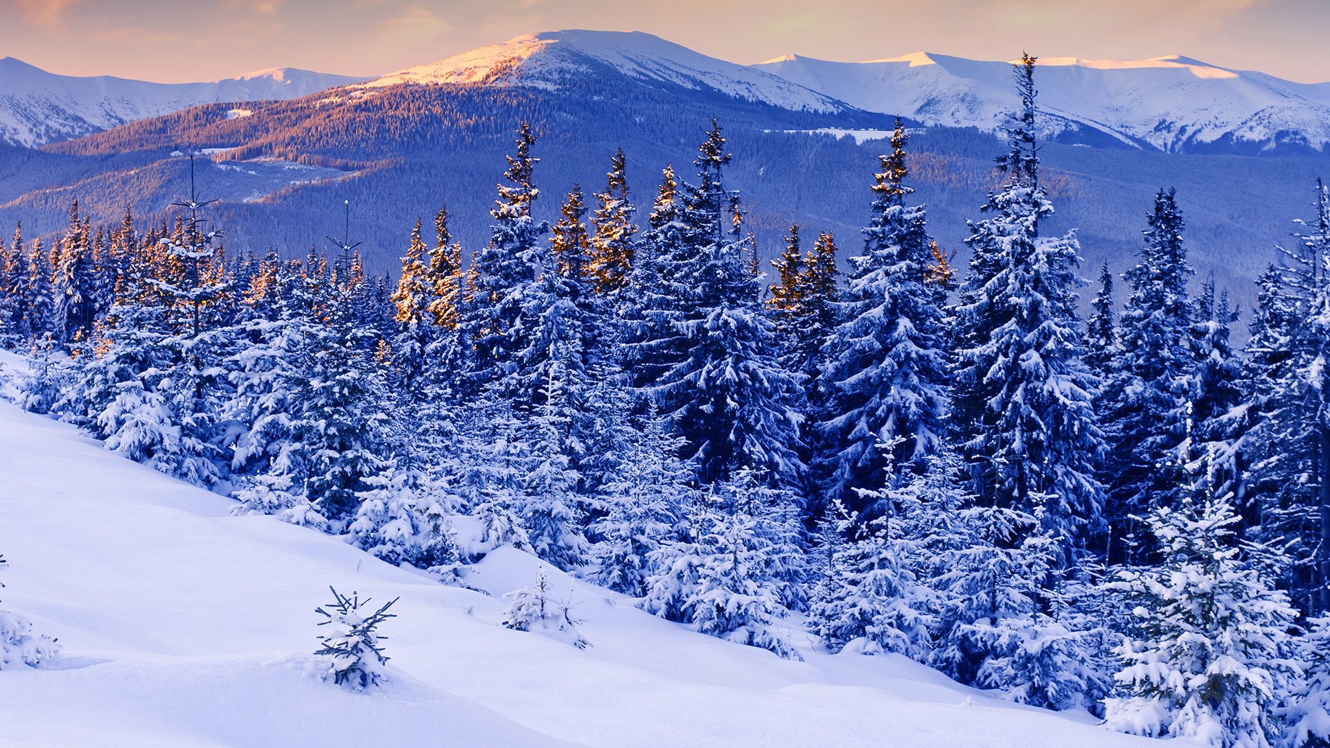 winter mountains snow the evening trees beauty sunset