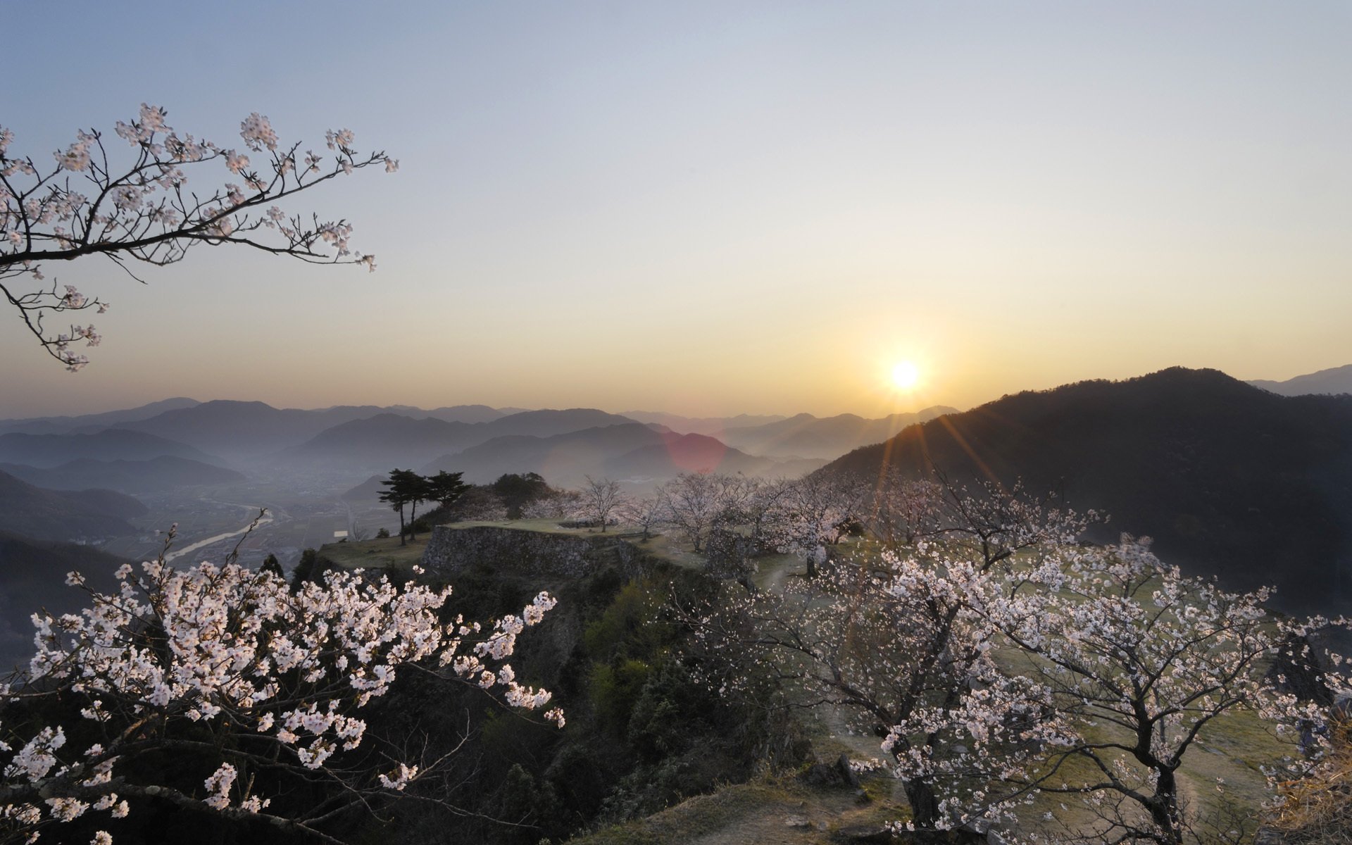 japón sakura puesta de sol vista