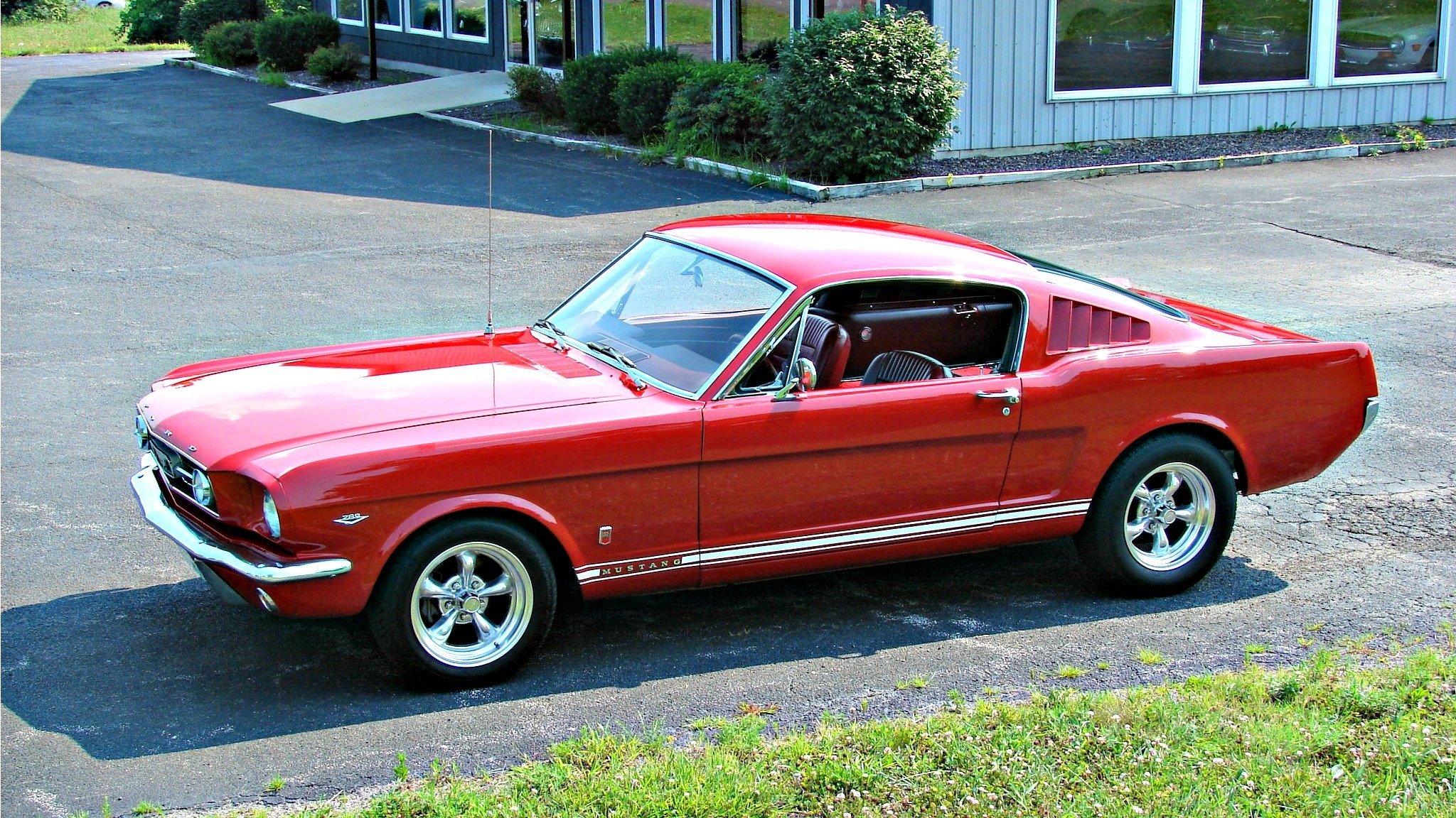 ford mustang ford mustang rot roter mustang 1966 1966 jahr ölauto muscle car amerikanerin amerikanisches auto usa ford mustang