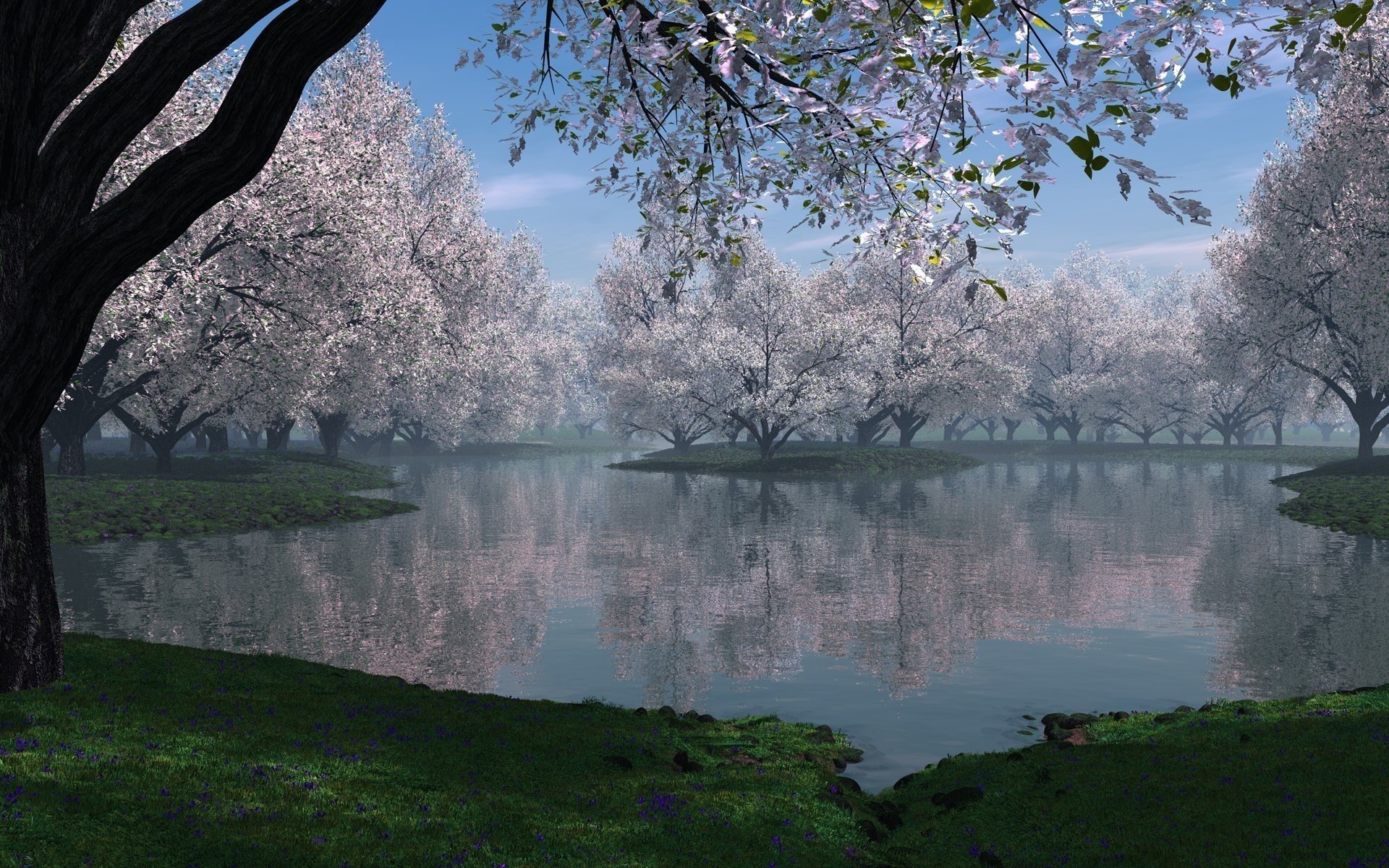 nature haze spring lake grass trees blooming