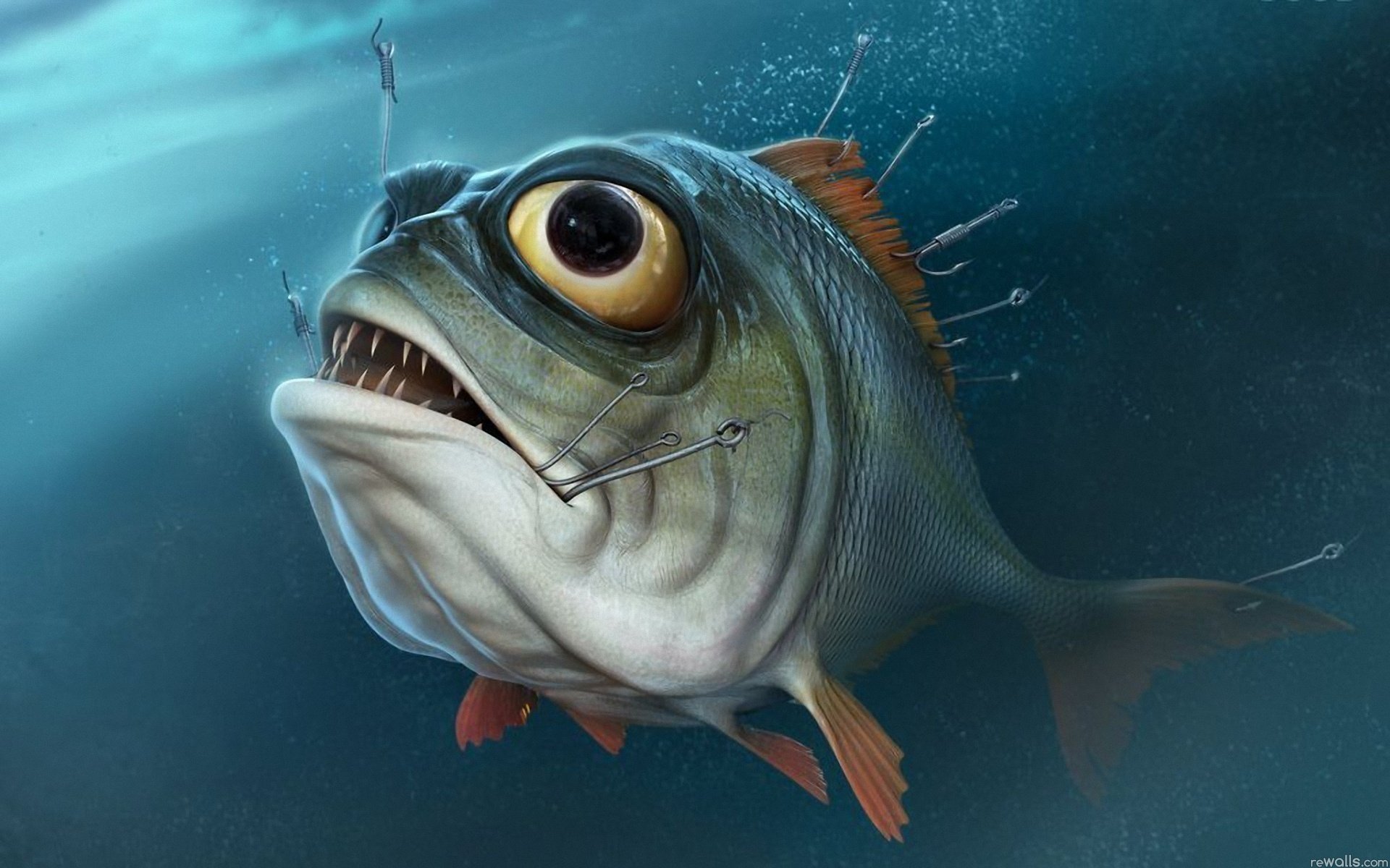 fish piranha hooks eyes fishing water