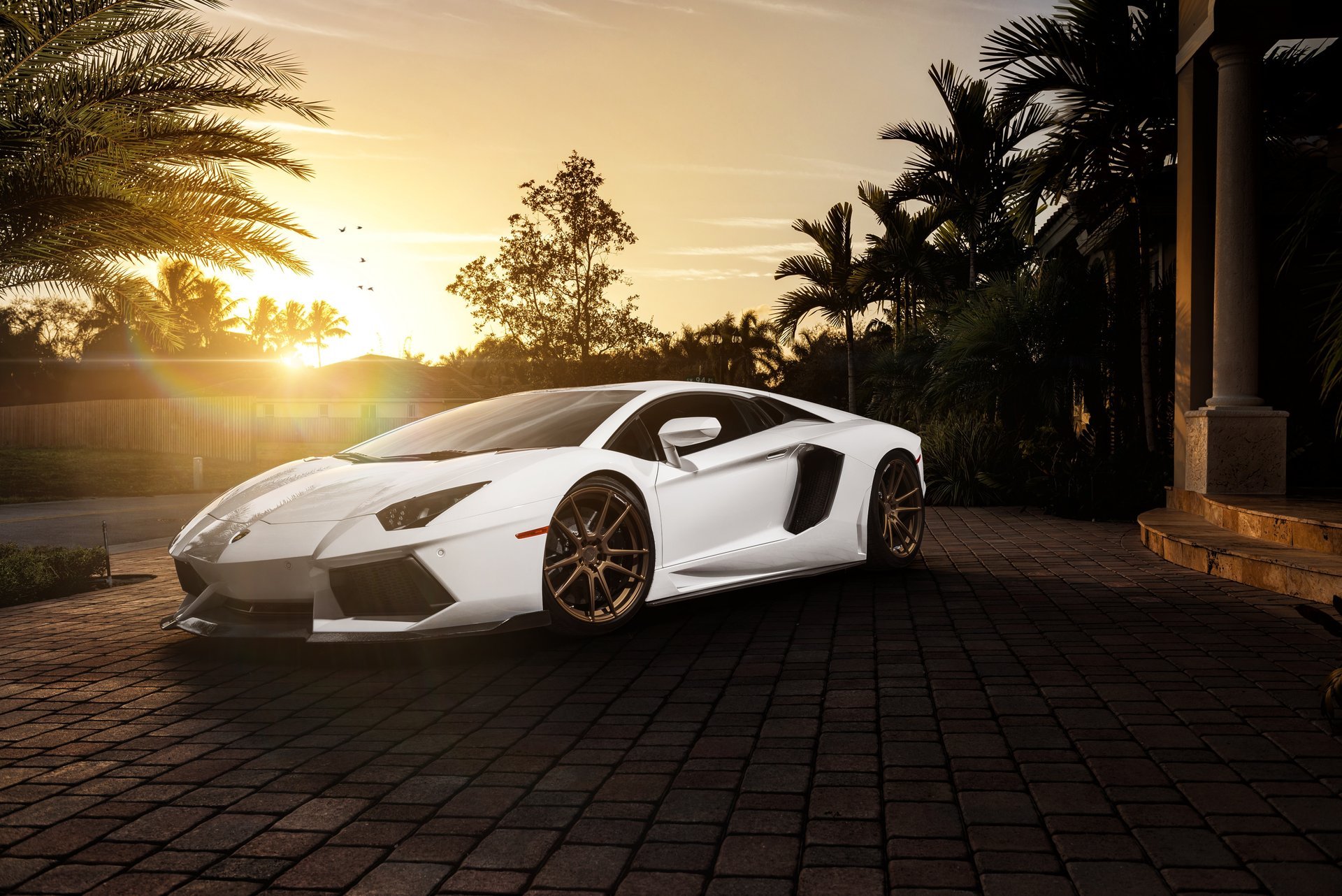 lamborghini aventador lp700-4 blanc avant lamborghini lamborghini aventador avant manoir palmiers soleil éblouissement