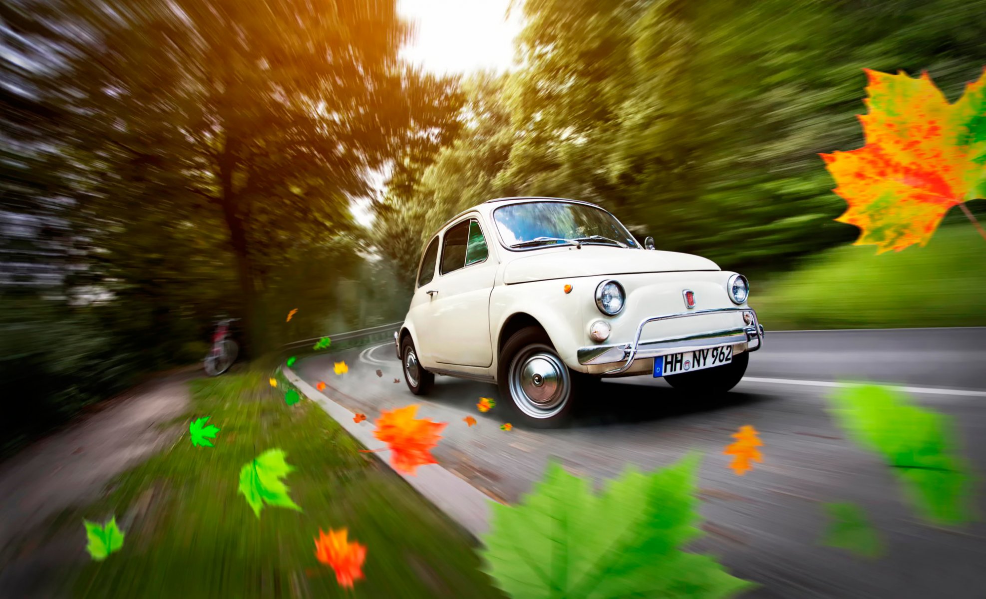 vehicles fiat 500 road leaves autumn germany hamburg