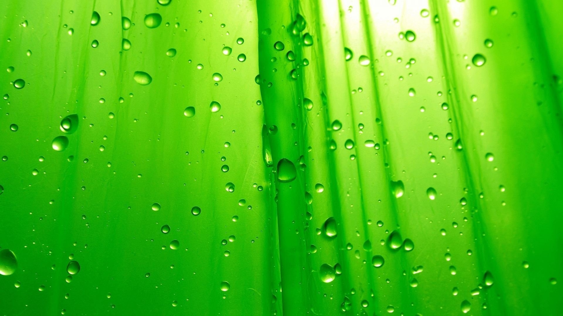 macro gotas verde