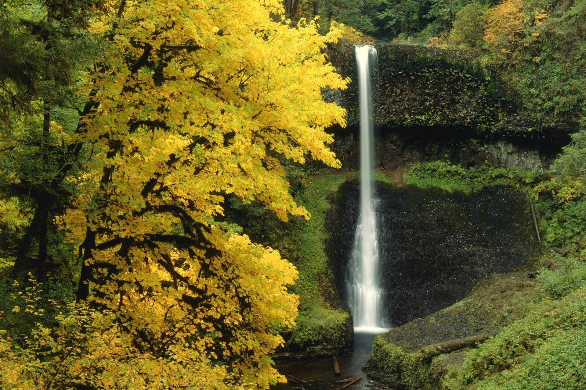 herbst wasserfall bäume wald natur