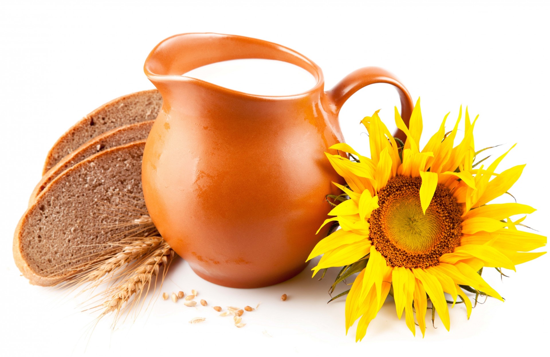 bread milk white background pitcher ears sunflower