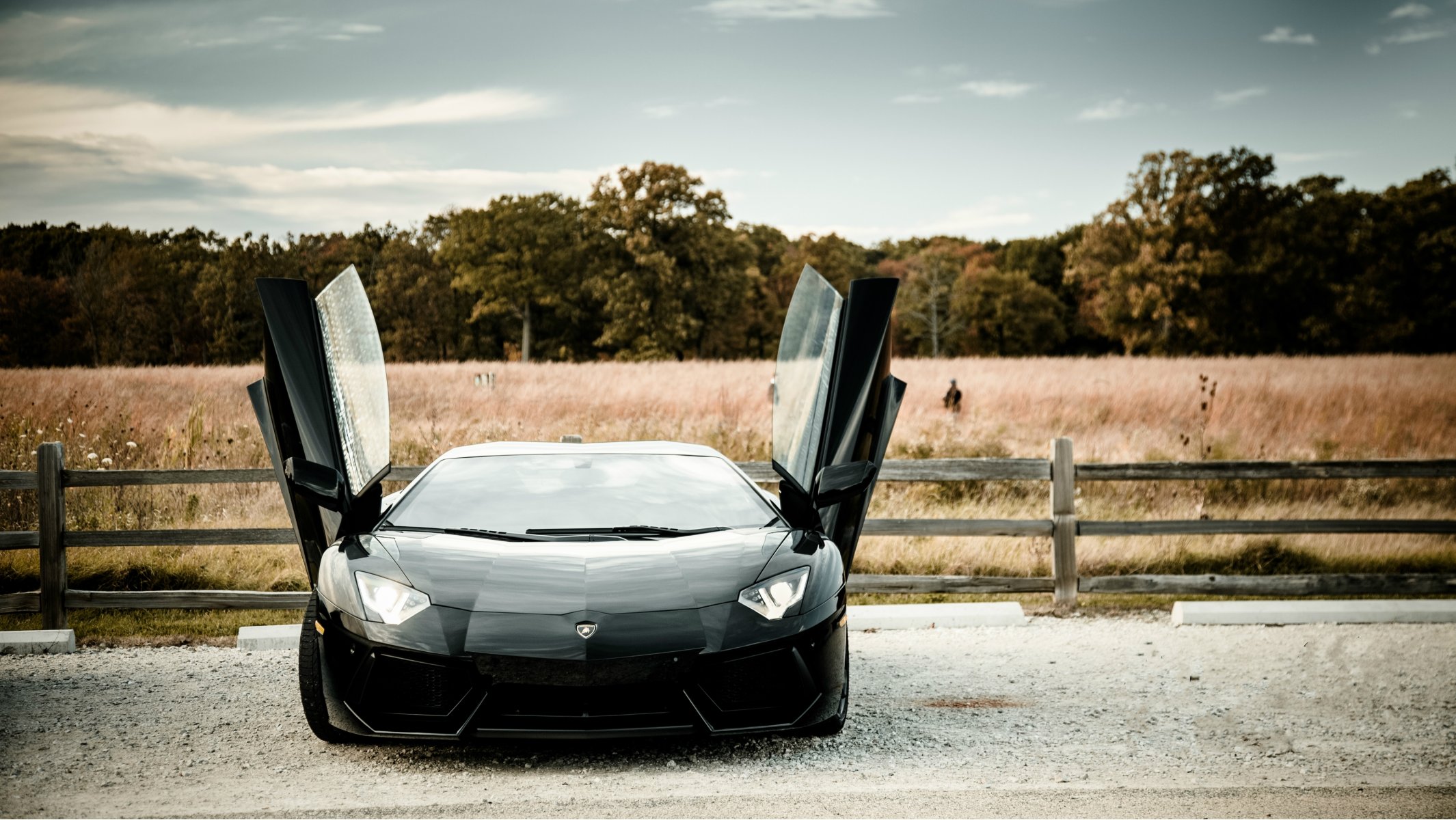 lamborghini aventador lp700-4 negro lamborghini aventador campo árboles cielo nubes