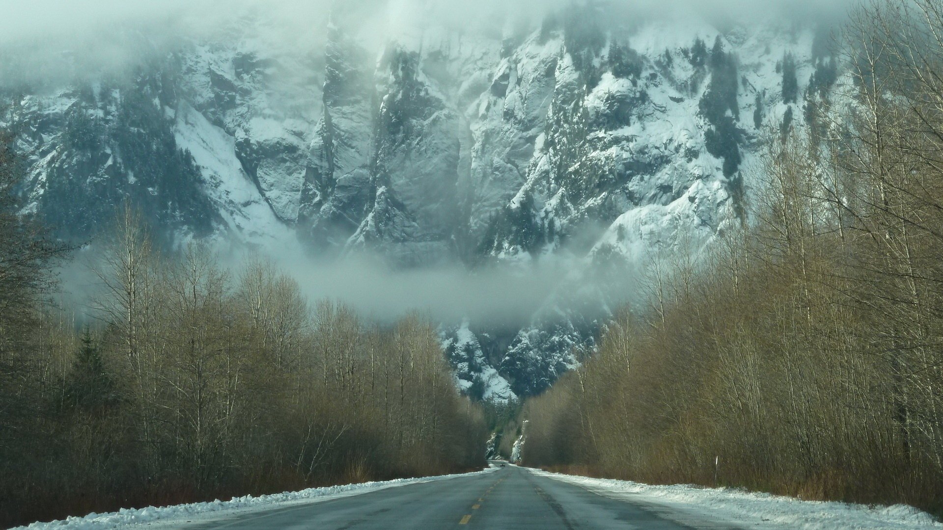 invierno bosque nieve montañas neblina carretera niebla