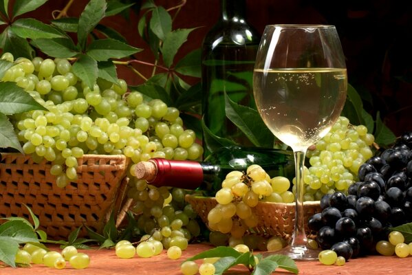 Baskets of grapes and a glass of white wine